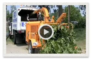 video of the Carlton Model 2012 Disk Chipper being used
