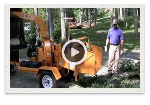 video of the Carlton Model 660 Disk Chipper being used