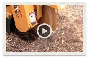 video of the Carlton Model SP4012 Stump Grinder being used