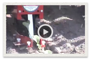 video of the Mechanical Transplanter 5000