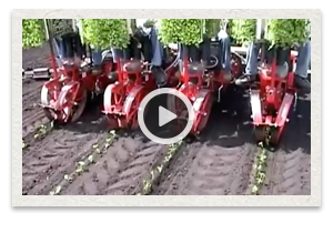 video of the Mechanical Transplanter Model 5000WD