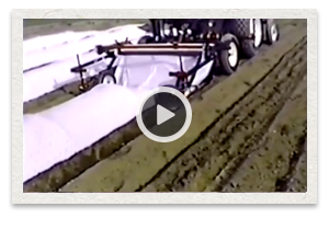 video of the Mechanical Transplanter Model 95